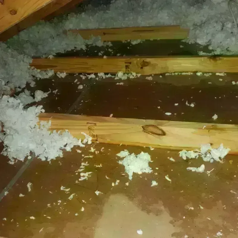 Attic Water Damage in Lawrence Park, PA