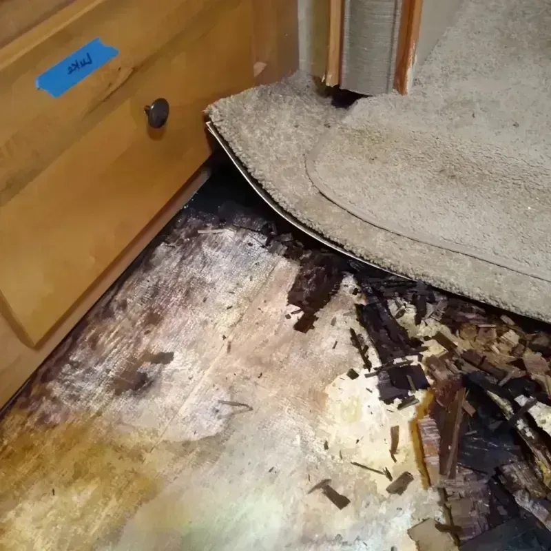 Wood Floor Water Damage in Lawrence Park, PA